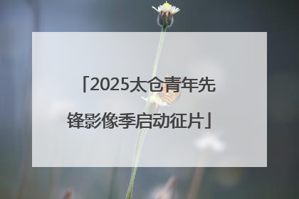 2025太仓青年先锋影像季启动征片
