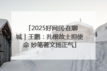 2025好网民·在聊城｜王鹏：扎根故土担使命 妙笔著文扬正气