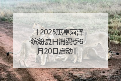 2025惠享菏泽·缤纷夏日消费季6月20日启动