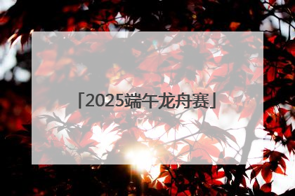 2025端午龙舟赛