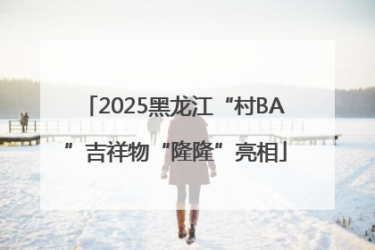 2025黑龙江“村BA”吉祥物“隆隆”亮相
