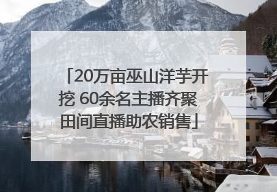 20万亩巫山洋芋开挖 60余名主播齐聚田间直播助农销售