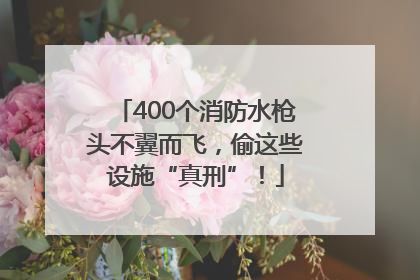 400个消防水枪头不翼而飞，偷这些设施“真刑”！