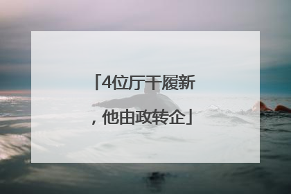 4位厅干履新，他由政转企