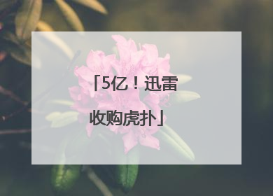 5亿！迅雷收购虎扑