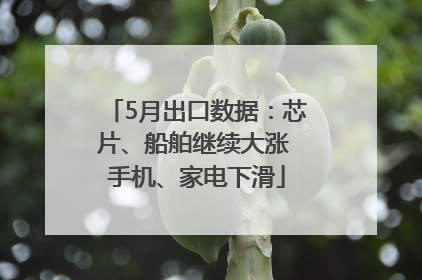 5月出口数据：芯片、船舶继续大涨 手机、家电下滑
