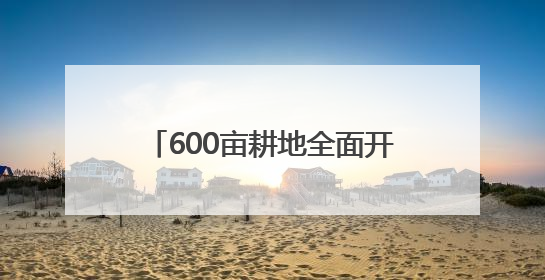 600亩耕地全面开种 成都东部新区东山农场示范园正式亮相