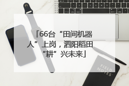 66台“田间机器人”上岗，泗阳稻田“耕”兴未来