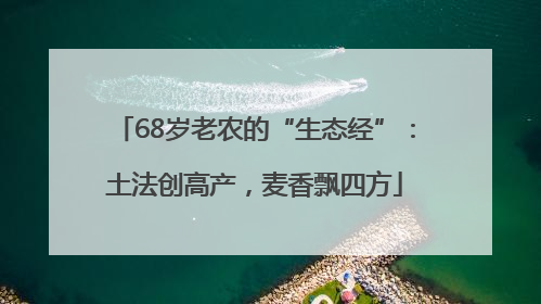 68岁老农的“生态经”：土法创高产，麦香飘四方