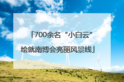 700余名“小白云”绘就南博会亮丽风景线