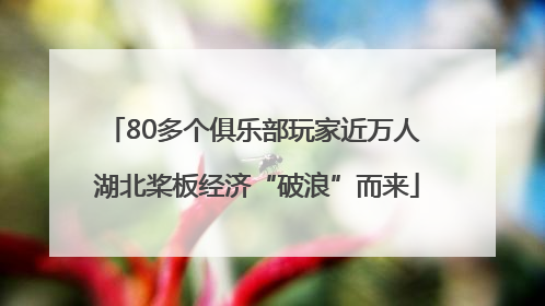 80多个俱乐部玩家近万人 湖北桨板经济“破浪”而来