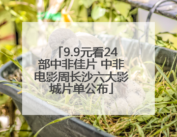 9.9元看24部中非佳片 中非电影周长沙六大影城片单公布