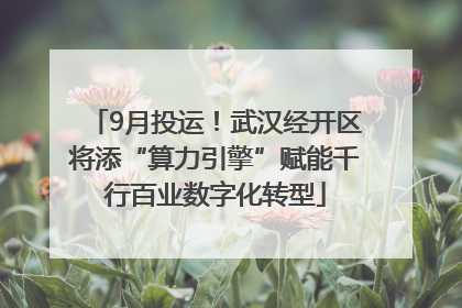 9月投运！武汉经开区将添“算力引擎”赋能千行百业数字化转型