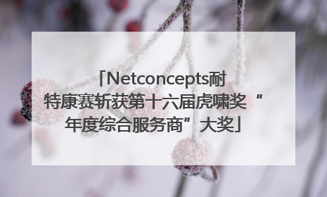 Netconcepts耐特康赛斩获第十六届虎啸奖“年度综合服务商”大奖
